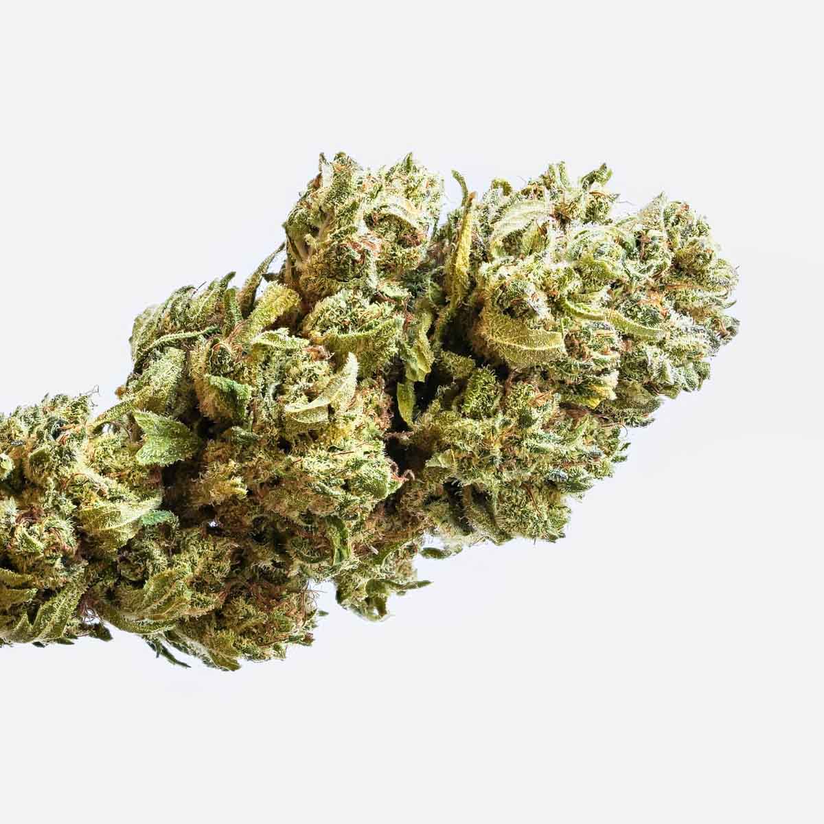 «Chumani» Morgenkuss der Natur | Intensiver Kiefer-Erde-Aroma mit 22% CBD