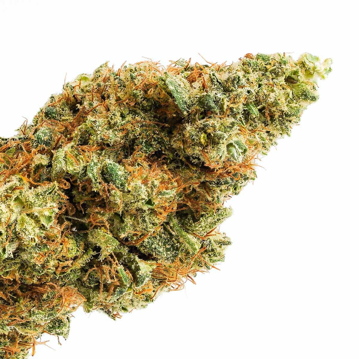 «Ayoka» She brings happiness | Fruchtig-limoncello mit 18-21% CBD